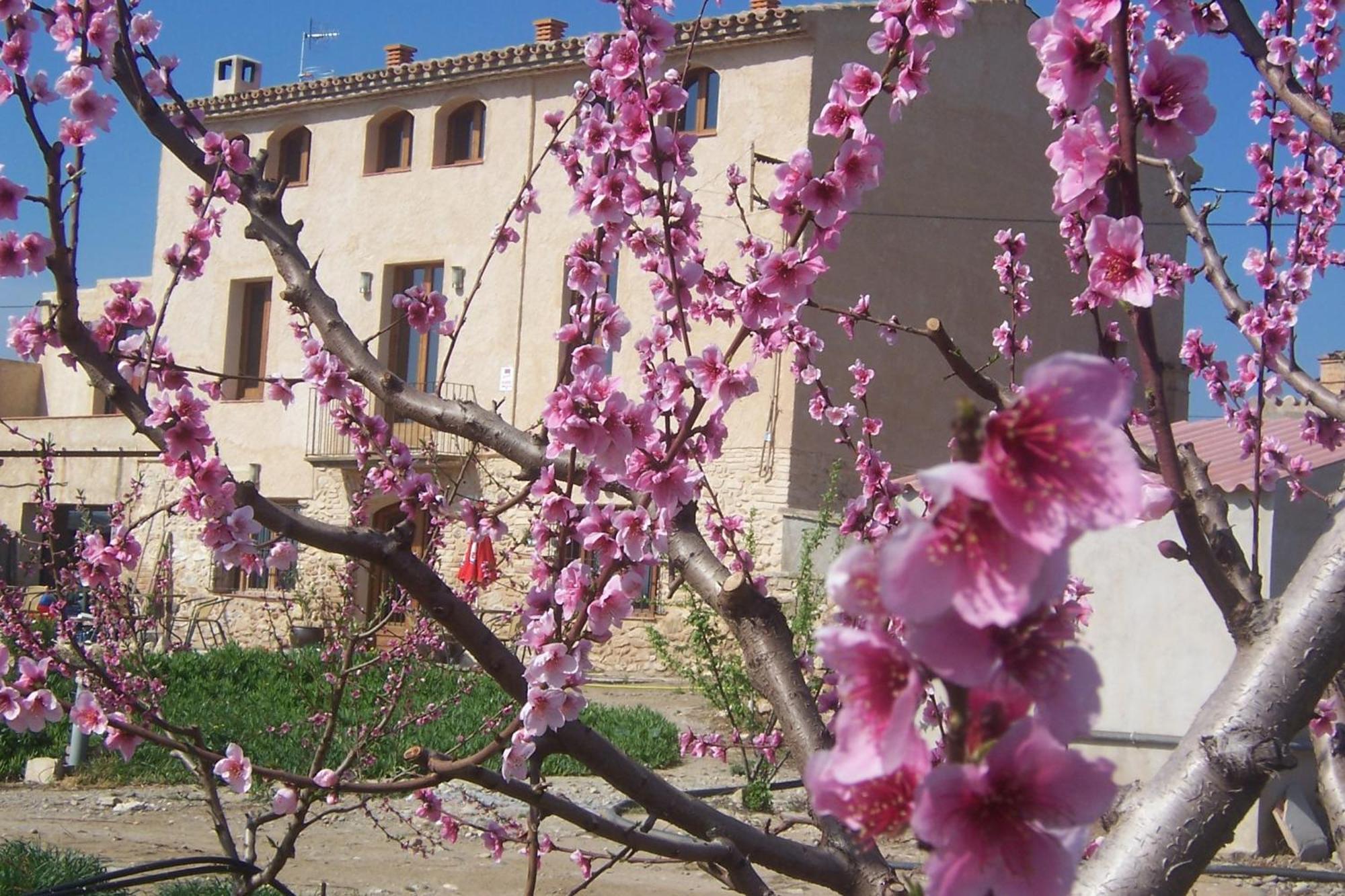 Mas Taniet Hotel Rural Benissanet Εξωτερικό φωτογραφία