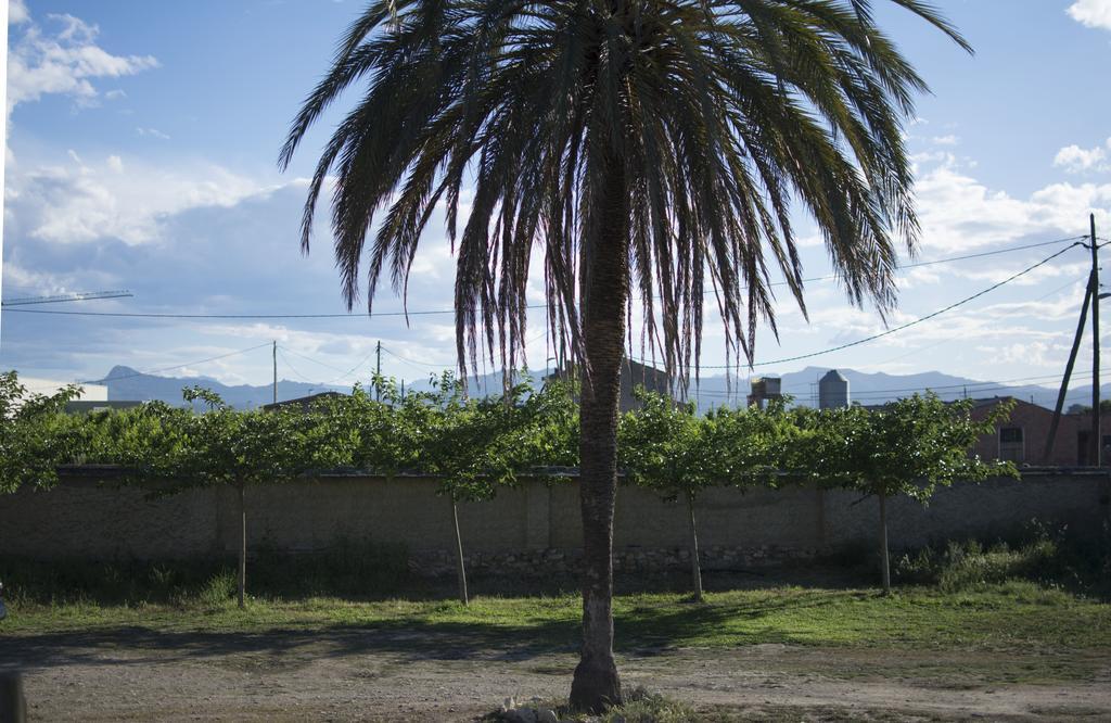 Mas Taniet Hotel Rural Benissanet Εξωτερικό φωτογραφία