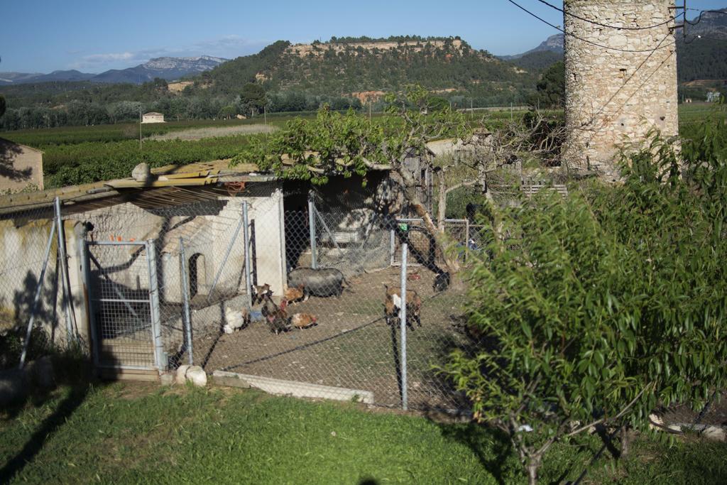 Mas Taniet Hotel Rural Benissanet Εξωτερικό φωτογραφία