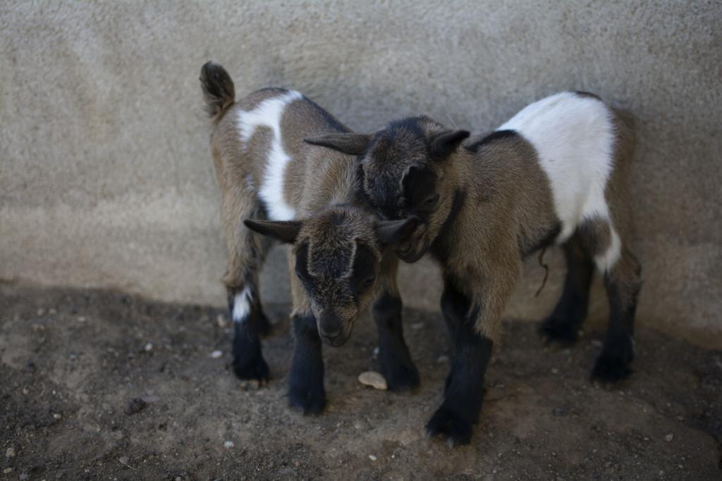Mas Taniet Hotel Rural Benissanet Εξωτερικό φωτογραφία